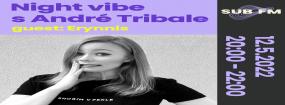 Night Vibe with Andre Tribale Guest: Erynnis - Sub FM radio [SK]