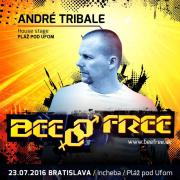 BeeFree 2016 - Pláž pod UFOm - Bratislava